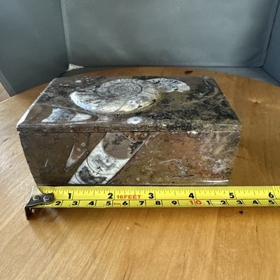 Rechteckiger Goniatit Ammonit Orthoceras Fossil Box polierter Marmor (P)