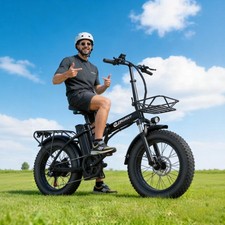 20" 750W 48V New Folding e-bike Fat Tire for Off-road