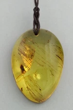 Genuine BALTIC AMBER Honey String Amulet Pendant Unisex 8.9g 210930-10