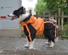 Bild 51 von 64
