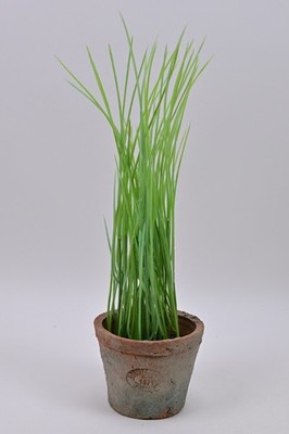 Artificial Herb Chives Dark Green Leaves in Rustic Terracotta Pot Indoor
