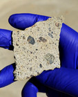 NWA 15339 Diogenite Polymict Breccia Meteorite 20.035g Part Slice COA — photo 2