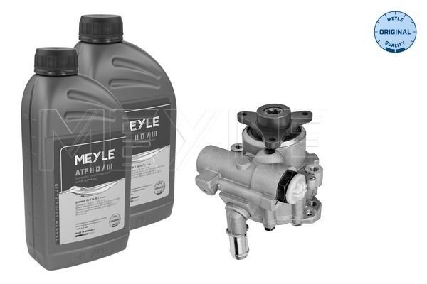 Meyle 16-14 631 0001/S Hydraulikpumpe, Lenkung Passend FüR Nissan Opel Renault-image