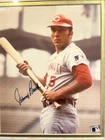 Johnny Bench Cincinnati Reds  8x10 Auto Signed MLB Baseball color photo