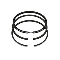 Kolbenring-Satz (1,00 Mm ÜBergrößE-79,00 Mm): Kompatibel Mit Lombardini / 6LD 32