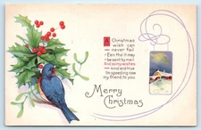 POSTCARD Merry Christmas Wish Can Never Fail Holly Bird
