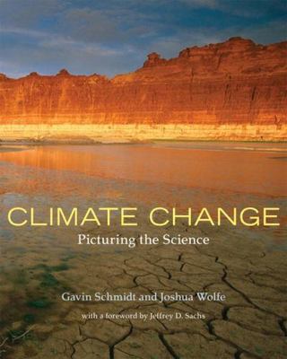 Climate Change: Picturing the Science - 0393331253, Gavin Schmidt, paperback