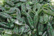 3" Watermelon Candy Craw Flapper Jig Trailer Yo Mama Beaver Baits Bass Fishing