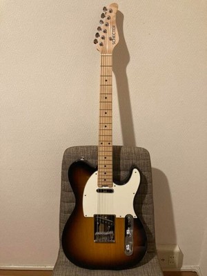 Electric Guitar SCHECTER N-PT-AS Sunburst Swamp Ash Body Maple 