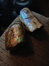2 Ammolite Baculite Ammonite Fossil Iridescent, Opalized, rare gemstone