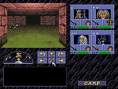 Advanced Dungeons & Dragons: Eye of the Beholder SNES used