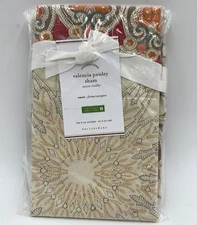 Pottery Barn Valencia Paisley Print Pillow Sham Multi Euro #G401N