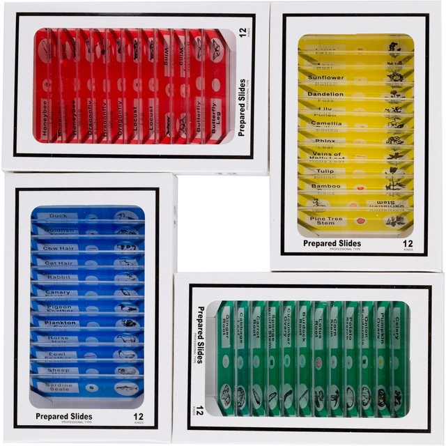 Amscope Kids 48pcplastic Prepared Microscope Slides Of Animals Insects Plants For Sale Online Ebay
