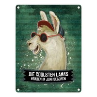 Metallschild Mit Spruch: Die Coolsten Lamas Werden ... Blechschild Schild