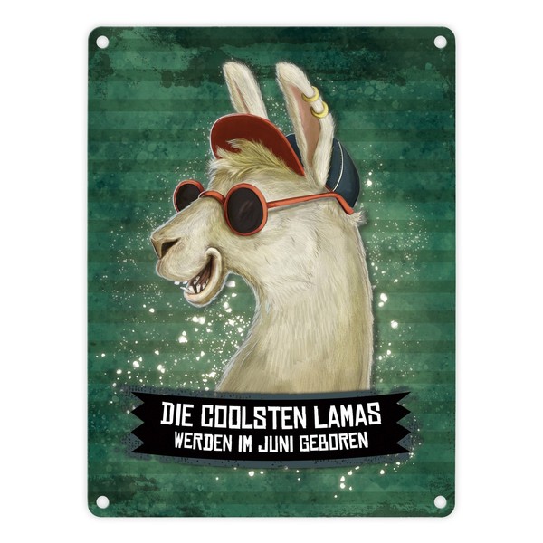 Metallschild Mit Spruch: Die Coolsten Lamas Werden ... Blechschild Schild-image