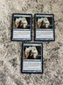Mtg Aerie Worshippers Born of the Gods #30 Regular Uncommon NM x3 
