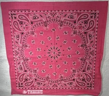 Vintage HAV-A-HANK Made in the USA Pink Paisley Bandana rn 15187