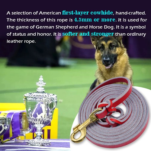 Leather Slip Leads for Dogs Braided Pet Training Show Leashes Black Brown Red - Picture 10 of 15