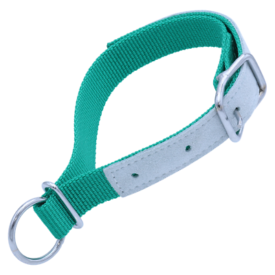 Halsriemen fr Schafe, Ziegen Halsband, Nylon & Leder, mit Schnalle, Grn,  60cm | eBay.de