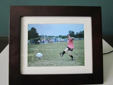 Pandigital PI8056W01B 8-Inch LCD Digital Photo Frame 1GB