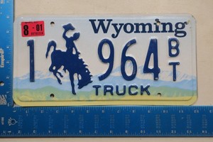 Wyoming License Plate Tag WY Natrona County 1 964 64 Birth Year 2001 #1964 (#1)