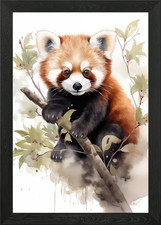 Red Panda Watercolor Framed Wall Art Poster Canvas Print Picture
