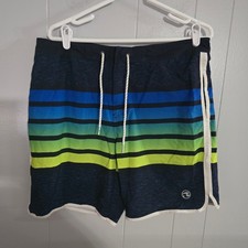 Ocean Current Board Shorts Mens 34 Blue Green Striped Scalloped Hem Swim Trunks