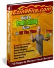 Build a Profit Pulling Ezine in 1/2 the Time (EBook)