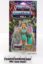 TMNT Turtles of Grayskull Heman MOTU Teela Sealed New