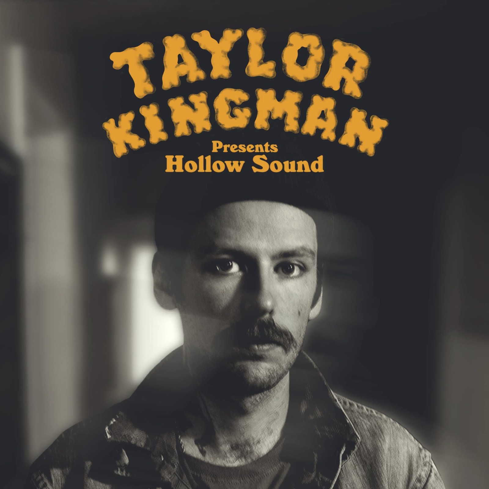Taylor Kingman Hollow Sound (винил) (ИМПОРТ ИЗ Великобритании)