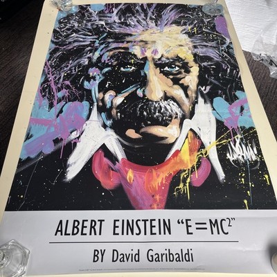 Albert Einstein  E=MC2  Poster Preown David Garibaldi 34 x22  Genius Funky Loud