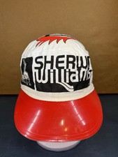 Vintage Sherwin Williams Super Paint Cover The Earth Bird Medium Painters Hat