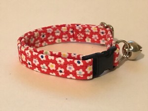 tiny kitten collars