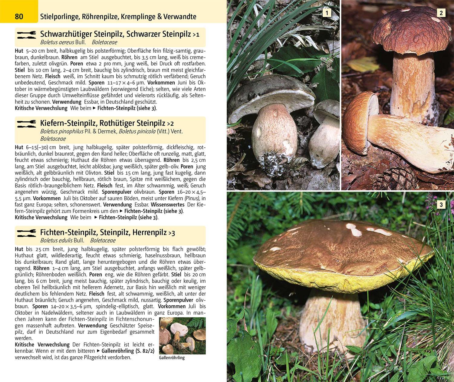 Thumbnail - Hans E. Laux Der Große Kosmos Pilzführer