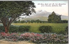 Old Gray Back and Mt San Bernadino, Redlands CA Pre-1907 Postcard-Undivided Back