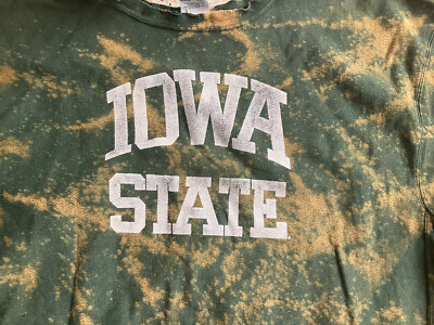 Vtg 90's Champion Reverse Weave Sweatshirt Iowa State Vtg 90's Champion Reverse Weave Sweatshirt Iowa State
