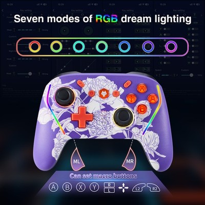 Wireless Controller For PC Switch 2 Switch/Lite w/Turbo Programmable Function