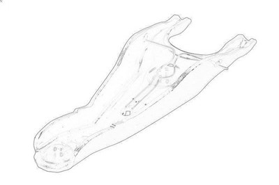 Release Fork, clutch OE MAZDA KL03-16-520A MAZDA 626 V (GF) 2 1997-2002