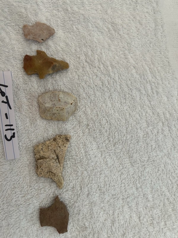 Lot Of 5 Authentic Native American Indian Arrowheads, Artifacts