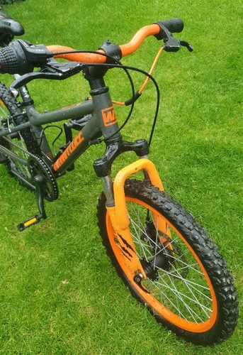 Wyldee Kids Mountain Bike | eBay