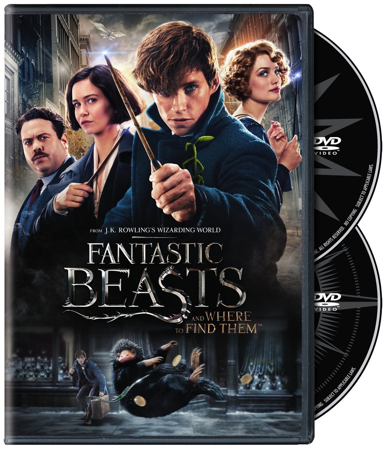 Fantastic Beasts and Where to Find Them (DVD) Eddie Redmayne Katherine Waterston