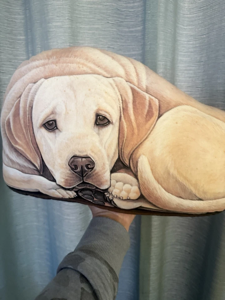 Leslie Anderson Fiddlers Codo Amarillo Laboratorio Sandee The Lab Tope Puerta Prop Foto 2 de 4