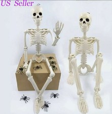 16" Halloween Skeleton Oversized Poseable Human Life Size Party Decor Prop