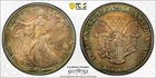 1993 American Silver Eagle $1 PCGS MS66 - Toned