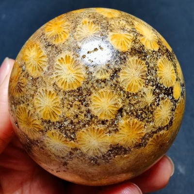 323.8G Natural Colorful RARE Polished Coral Jade BALL 75A40+