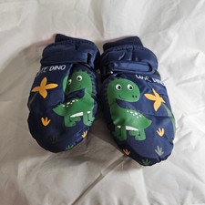 Boy's waterproof Winter Ski Mittens dinosaur design