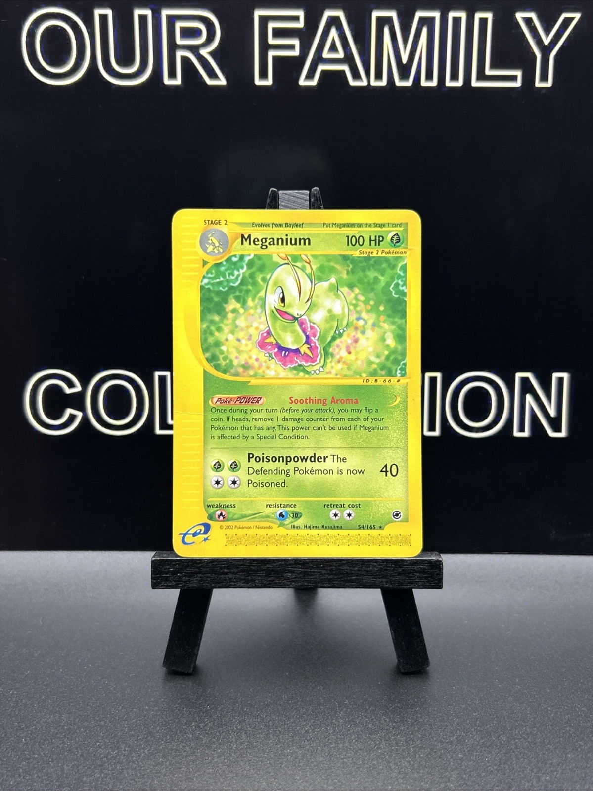 Meganium - 54/165 - Pokemon Expedition Regular Rare Card