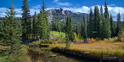 Sawtooth Mountains Wilderness Pettit Creek #2 Idaho Photo Poster Print SM11