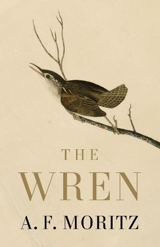 The Wren (PB 2026) - Image 2