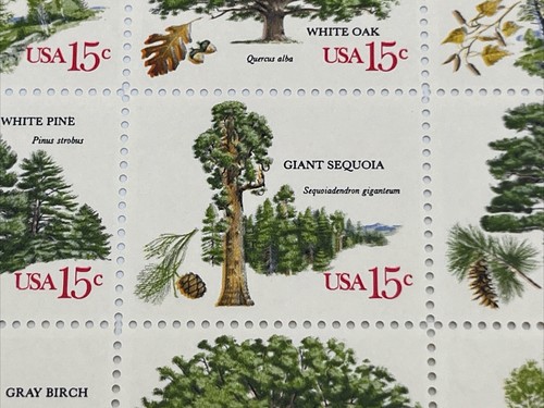 Scott #1764 - 67 American Trees 15 Cent Full Mint Sheet of 40 MNH OG - Picture 9 of 11